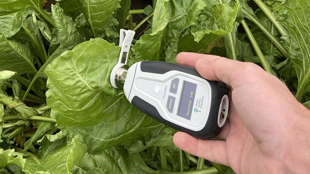 1024_x_576_flourpen_use_in_sugar_beet_trial.jpg