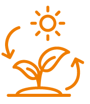 Quantis Icon