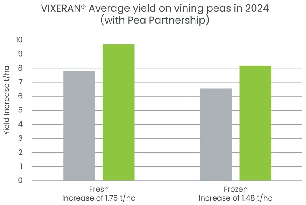 VIXERAN® Average yield on vining peas in 2024 (with Pea Partnership)