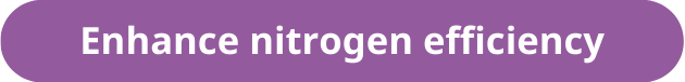 Nitrogen efficiency