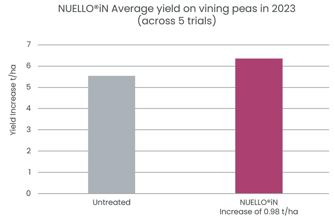 NUELLO iN vining peas yield