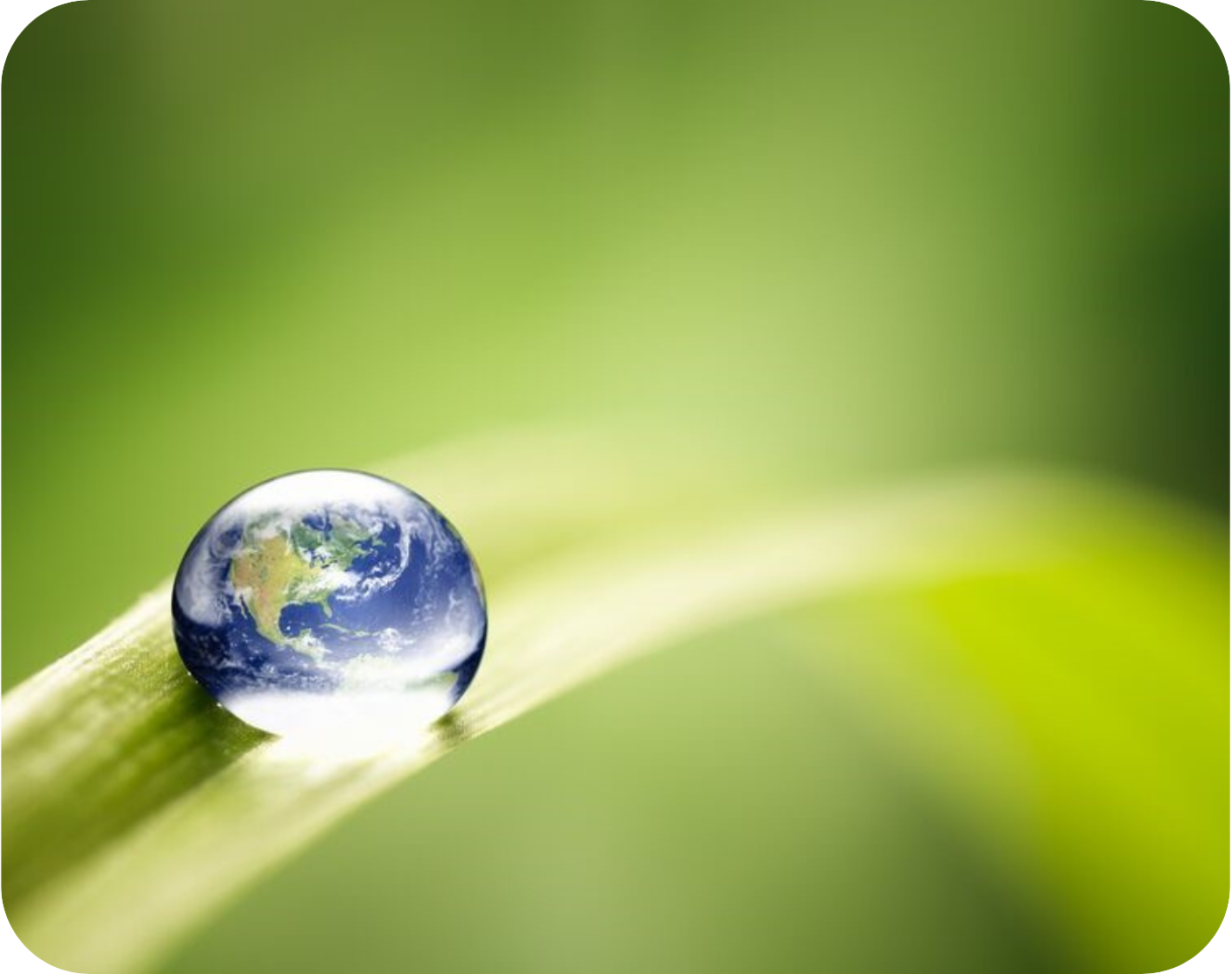 the world in a water droplet