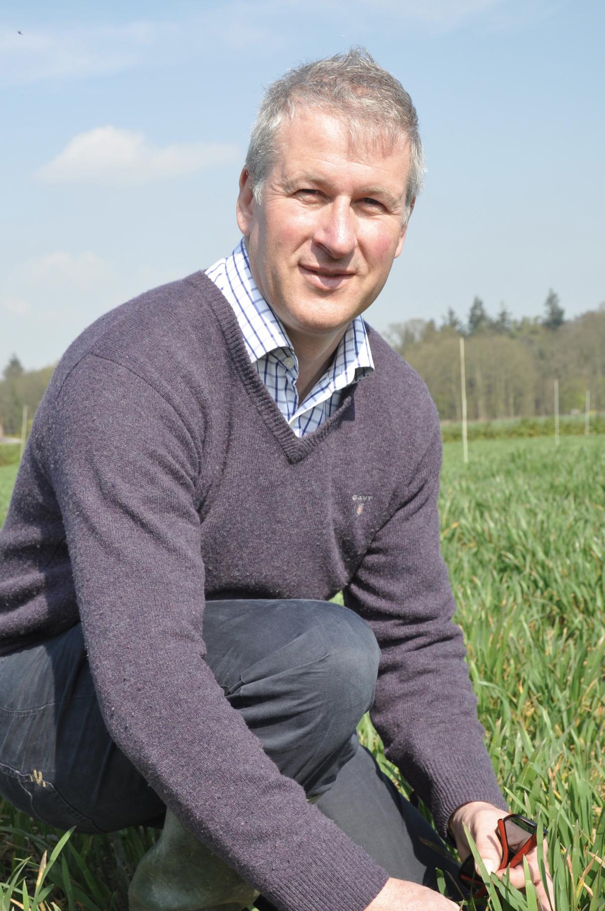 Winter wheat crops that were drilled later or that are backward because they struggled in poorer seedbed conditions are likely to be more vulnerable to yellow rust, says David King