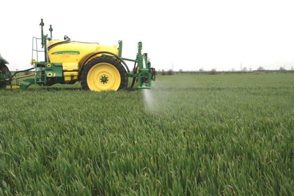 T2 Spraying with Amistar Nozzle