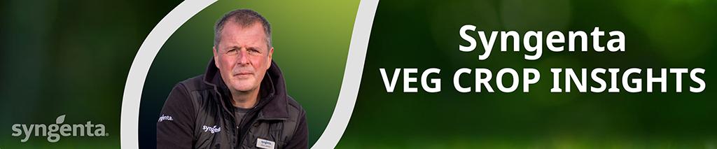 Simon Jackson Veg Crop Insights