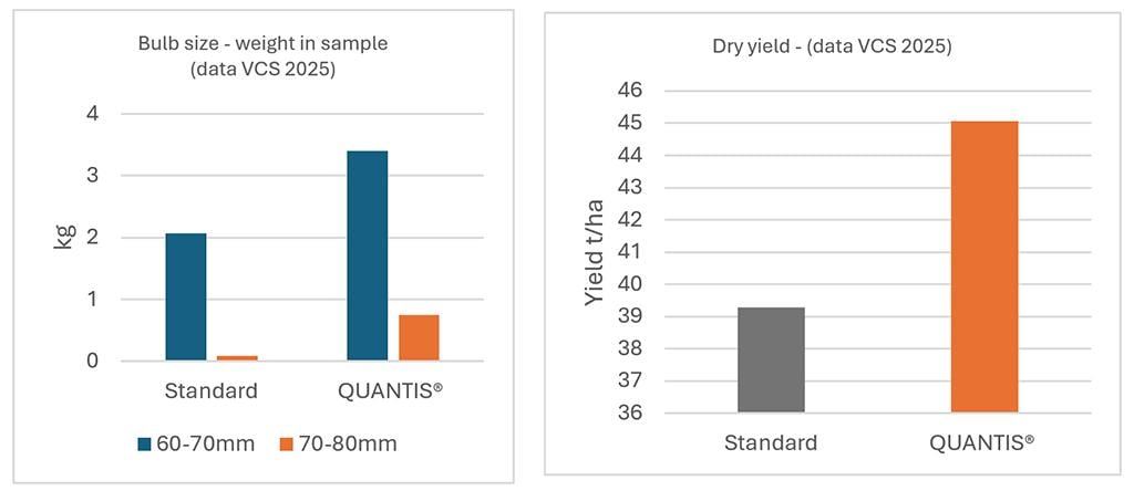 Quantis trials results in onions