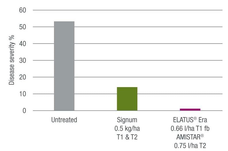 Rust control 25 days after T2 (data PGRO 2023)