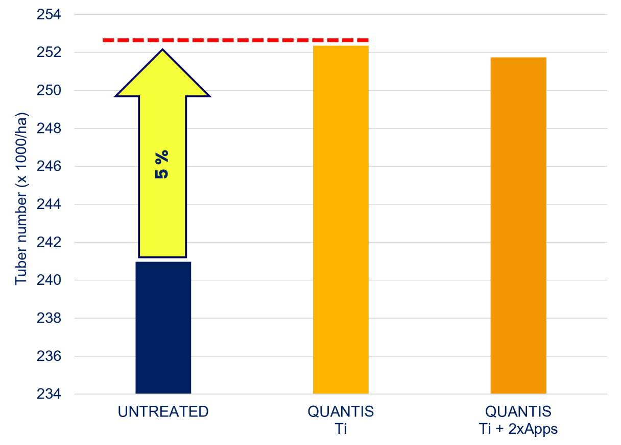 Optimum tuber numbers
