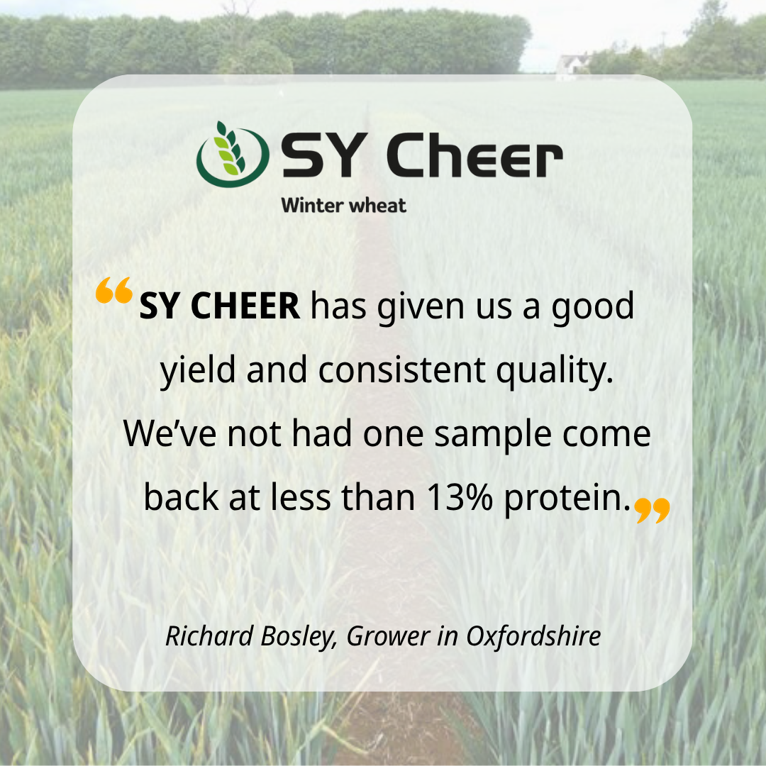 SY CHEER