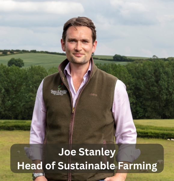 Joe Stanley