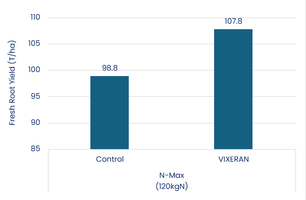 VIXERAN sugar beet higher yields