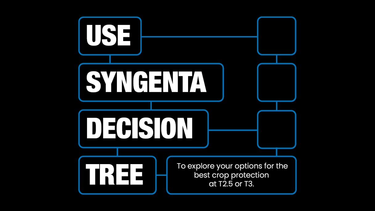 Decision tree