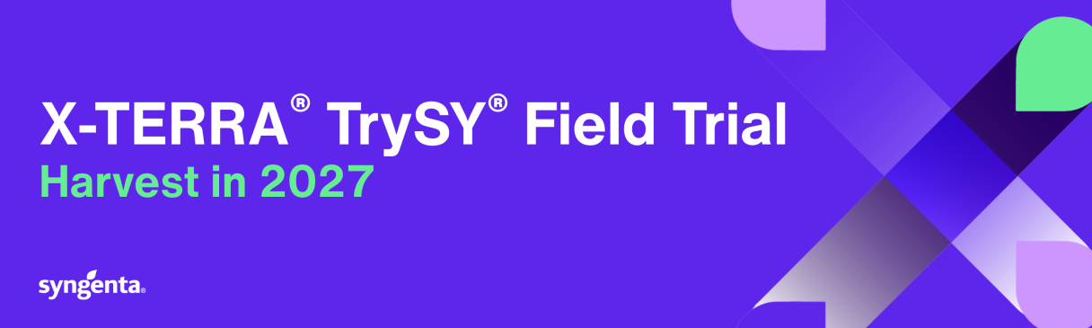 X-TERRA “TrySy” Field Trial graphic with purple geometric shapes and green accents