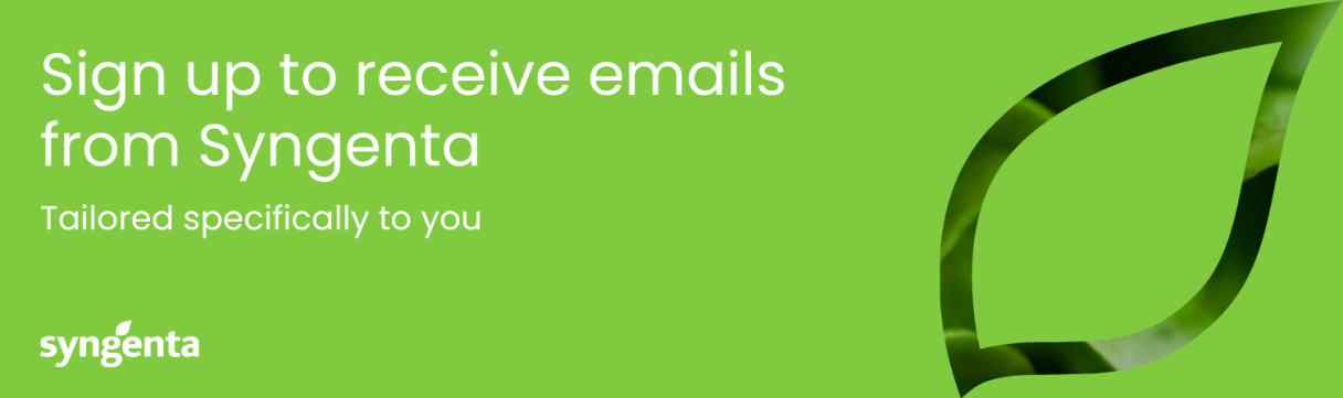 Email sign up banner